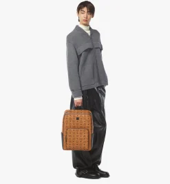Aren Rucksack In Visetos
