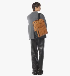Aren Rucksack In Visetos