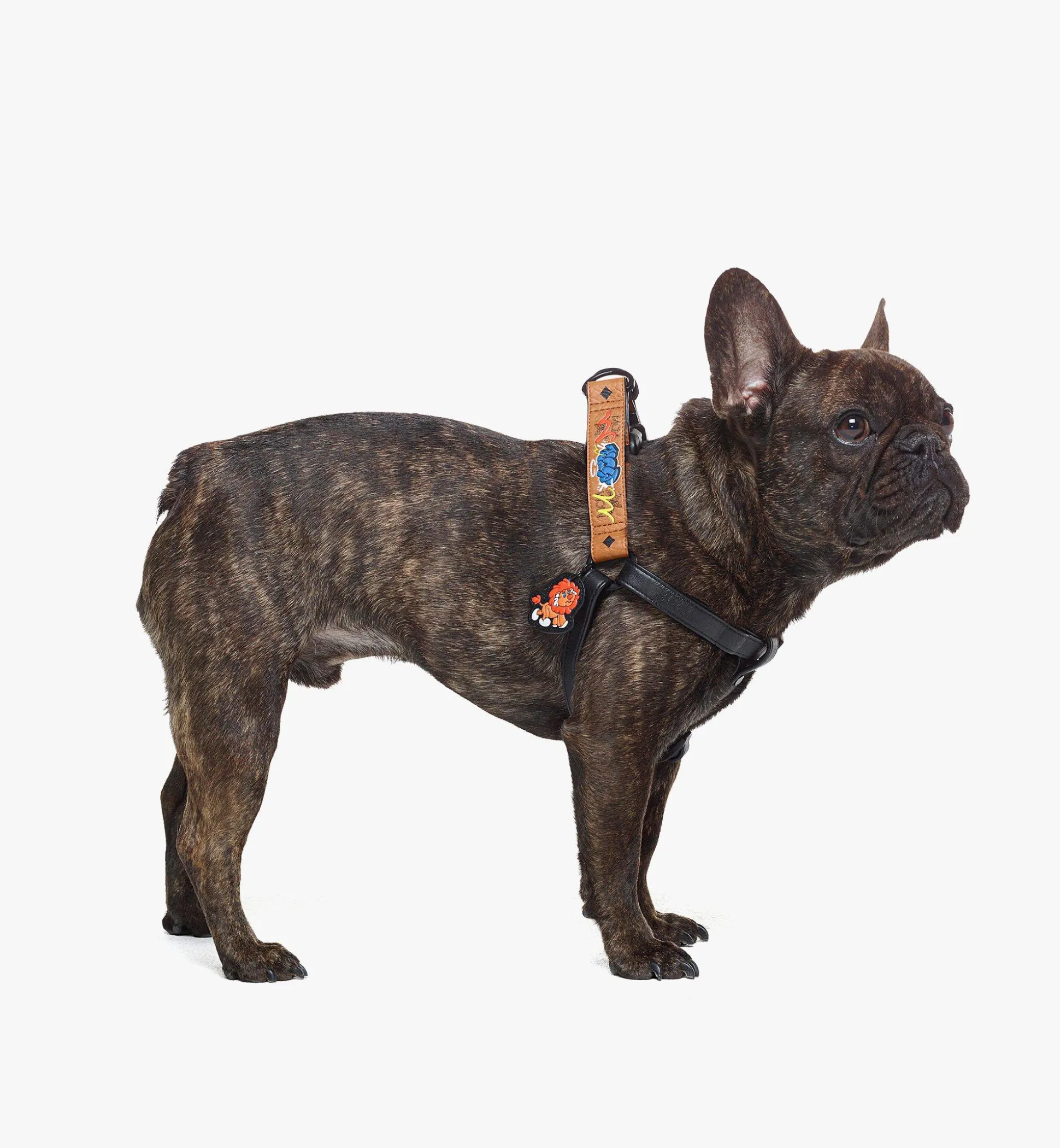 Haru, Henry, Kaiser Hundegeschirr In Visetos