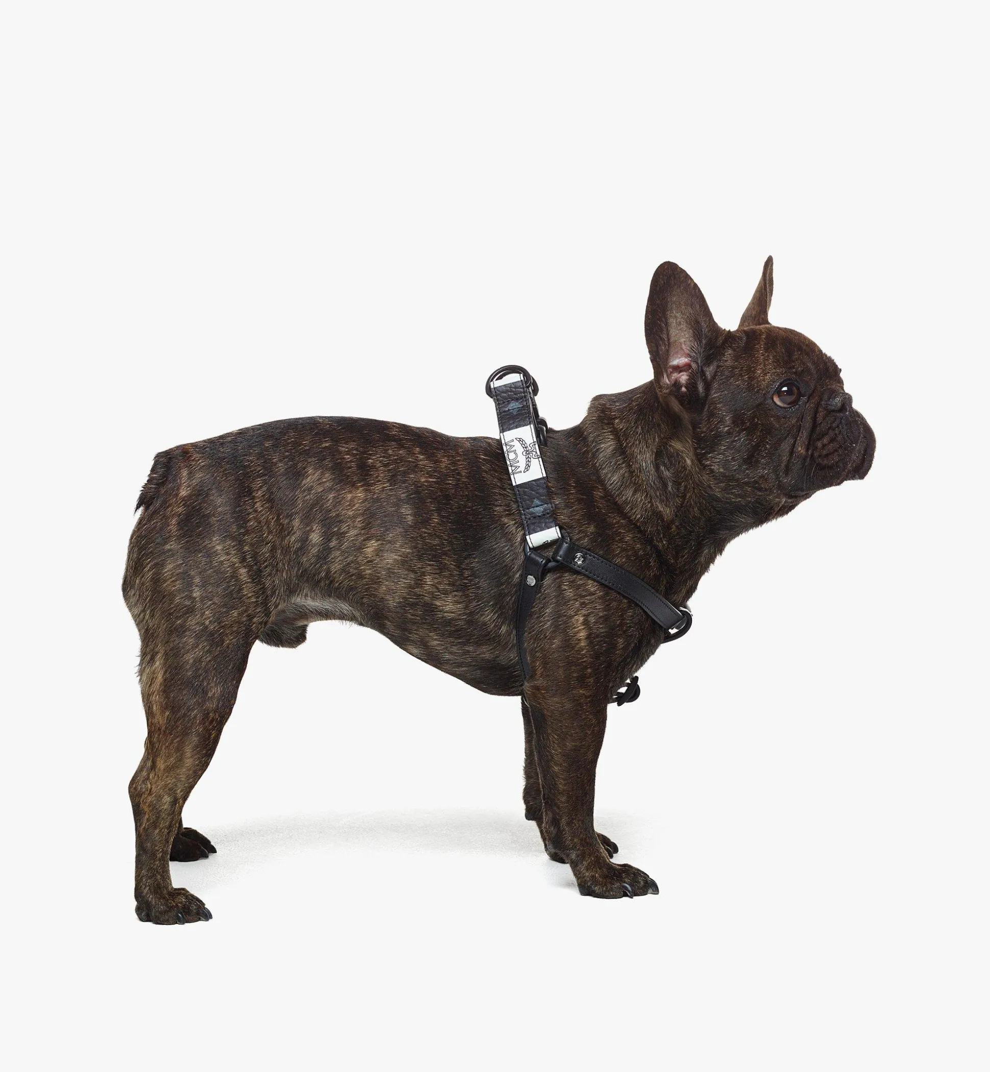 Hundegeschirr In Checkerboard Visetos