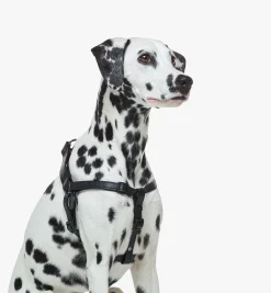 Hundegeschirr In Visetos