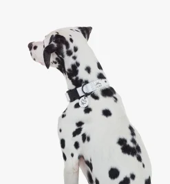 Hundehalsband In Visetos